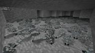 Silverfish (Image via Minecraft)